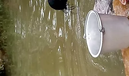 ধাক্কা মারা খালার সাথে চুদাচুদি পায়ু অসাধারন সুন্দরী বালিকা