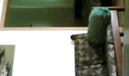 ভিআইপি নতুন অবাস্তব মিষ্টি সেকশনস ভাল সংগ্রহ. পার্ট 1. বাংলা চুদা চুদি গল্প