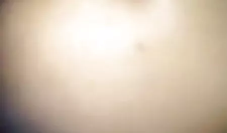 ব্লেক পুষ্প-আপনার জন্য অপেক্ষা করেছি হয়েছে বাংলা চুদাচুদি কাহিনী এক (2020)