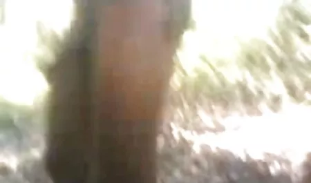 মেয়ে সমকামী চোদা চোদি গল্প