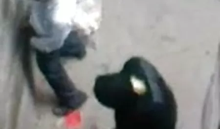 বাড়ীতে তৈরি নতুন চুদাচুদি গল্প