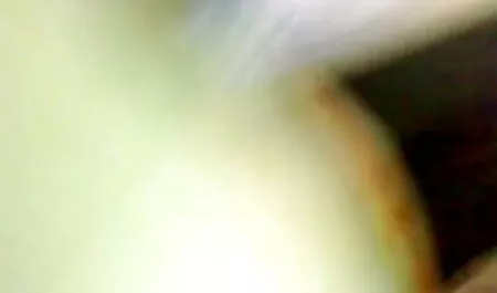 শ্রেষ্ঠ গোল্ড অশ্লীলনশর্টপার্ট মা ছেলে চুদাচুদি গল্প সংগ্রহ পার্ট 1