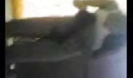 বনবিড়াল আপন বোনকে চোদা রানী পর্ব 2 ব্যক্তিগত কেলেঙ্কারিতে (2020)