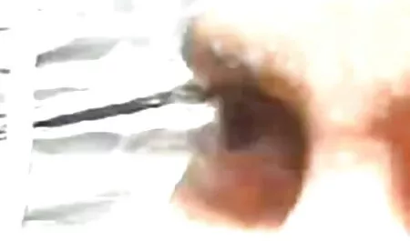 সুন্দরী চুদা চুদি কাহিনী বালিকা