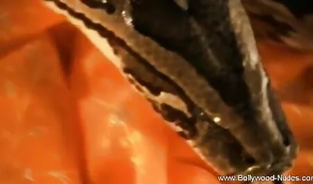 বালিকা দুর্দশা সুন্দর খেলনা চুদাচুদি গল্প নতুন