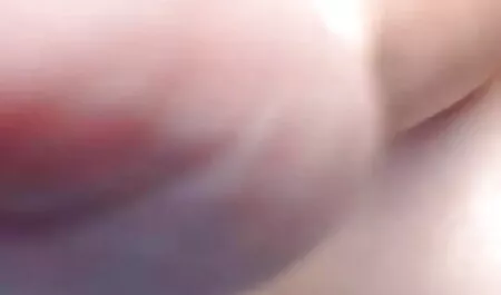 TS Kimberlee বনাম Silvia Dellai পার্ট বাংলা চটি চুদা চুদি 1