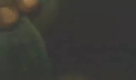 মিনা, Francys Belle & Cindy চকমক চুদাচুদি বাংলা চটি