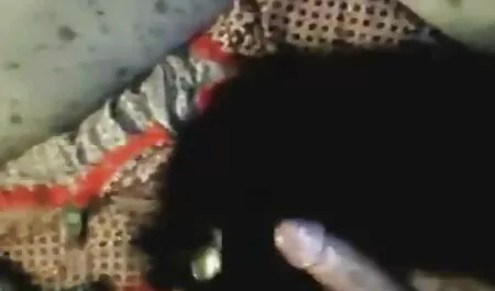 প্রতারনা, Flagrou, সুন্দরি সেক্সি মহিলার Fudendo সেউ মা ছেলে চোদা চুদি গল্প Marido