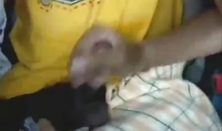 লাল চুলের, বাবা মেয়ে চুদাচুদি চটি ছোট মাই,