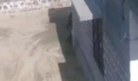 দাসত্ব ধর্ষণ সন্নিবদ্ধ বাংলা চটি চুদা চুদির গল্প