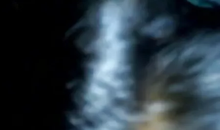 সুন্দরী বাংলা চুদাচুদি গল্প বালিকা