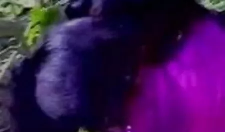 স্বর্ণকেশী, বাঁড়ার রস পারিবারিক চোদা চুদি গল্প খাবার