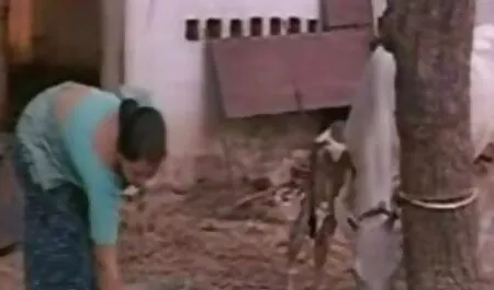 ব্লজব, অপেশাদার, দুর্দশা, মা ছেলে চুদাচুদি গল্প হার্ডকোর