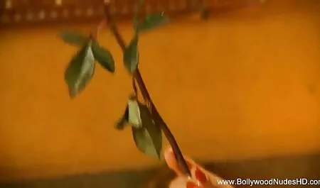 ময়লা নন্দনতত্ব ! স্বামী চুদা চুদির বাংলা গল্প ও স্ত্রী