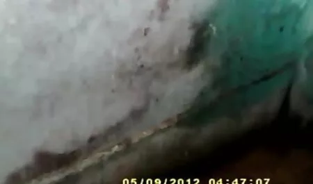 লিসা অ্যান বড়ো মাই খালার সাথে চুদাচুদি