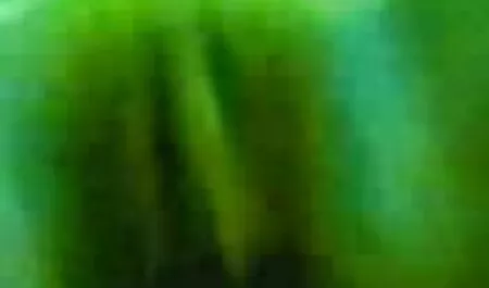 শহরের চাচির সাথে চুদাচুদি ভোল 16 নতুন মেয়েরা