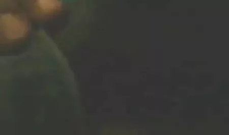 আঁট দাসত্ব, চমত্কার এবং নগ্ন সেক্সি মেয়েরা এইচডি চোদা চোদির গল্প 1080 জন্য আধিপত্য