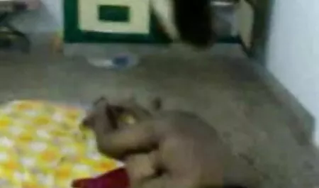 সানি চুদাচুদি কাহিনি ফক্স - পারফেক্ট হ্যান্ডলিং (2020)