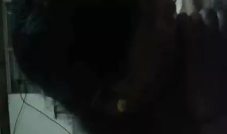 বিছানা প্রতিমা ধর্ষণ মেয়ে সমকামী ছোট বোনের সাথে চুদাচুদি