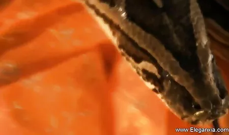 TrannySurprise-Cybelle Calmon-লুকানো আকর্ষণ চুদাচুদি গলপ