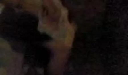 প্রদর্শন – প্রথম বহিরঙ্গন পাঠ – অংশ 2 বাংলা চটি চুদা চুদি