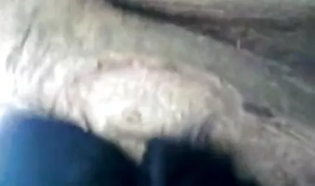 আকর্ষণীয়, কাকির সাথে চুদাচুদি দুর্দশা,