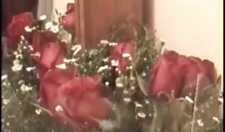 দাসত্ব, অপেশাদার, সুন্দরি সেক্সি মহিলার, ধর্ষণ, প্রতিমা, শশুরের সাথে চুদাচুদি জার্মান,